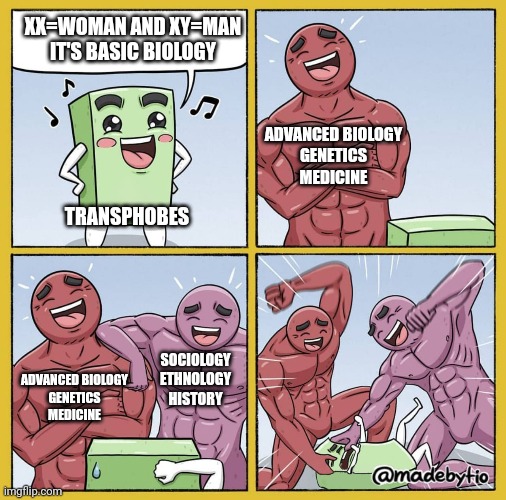 Guy getting beat up | XX=WOMAN AND XY=MAN
IT'S BASIC BIOLOGY; ADVANCED BIOLOGY
GENETICS
MEDICINE; TRANSPHOBES; SOCIOLOGY
ETHNOLOGY
HISTORY; ADVANCED BIOLOGY
GENETICS
MEDICINE | image tagged in guy getting beat up | made w/ Imgflip meme maker