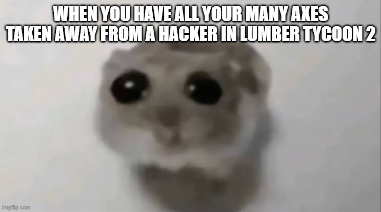 lumber tycoon 2 pain | WHEN YOU HAVE ALL YOUR MANY AXES TAKEN AWAY FROM A HACKER IN LUMBER TYCOON 2 | image tagged in sad hamster | made w/ Imgflip meme maker