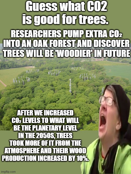 Guess what CO2 is good for trees. RESEARCHERS PUMP EXTRA CO₂ INTO AN OAK FOREST AND DISCOVER TREES WILL BE 'WOODIER' IN FUTURE; AFTER WE INCREASED CO₂ LEVELS TO WHAT WILL BE THE PLANETARY LEVEL IN THE 2050S, TREES TOOK MORE OF IT FROM THE ATMOSPHERE AND THEIR WOOD PRODUCTION INCREASED BY 10%. | made w/ Imgflip meme maker