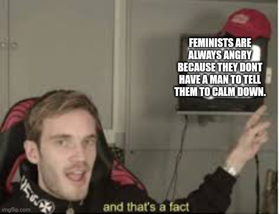 And thats a fact | FEMINISTS ARE ALWAYS ANGRY BECAUSE THEY DONT HAVE A MAN TO TELL THEM TO CALM DOWN. | image tagged in and thats a fact | made w/ Imgflip meme maker