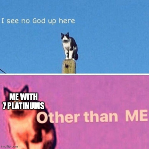 Hail pole cat | ME WITH 7 PLATINUMS | image tagged in hail pole cat | made w/ Imgflip meme maker