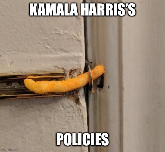 Kamala Harris policies | KAMALA HARRIS’S; POLICIES | image tagged in kamala harris,2024,democrats | made w/ Imgflip meme maker