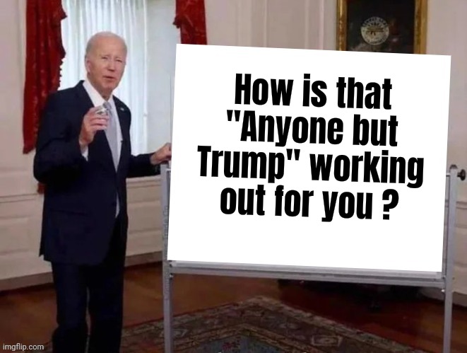 How is that "Anyone but Trump" working out for you ? | image tagged in joe tries to explain | made w/ Imgflip meme maker