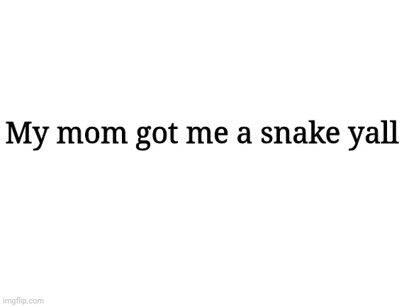 Blank White Template | My mom got me a snake yall | image tagged in blank white template | made w/ Imgflip meme maker