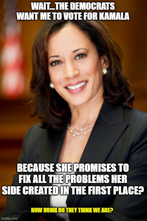 Talk about Batshit Crazy | WAIT...THE DEMOCRATS WANT ME TO VOTE FOR KAMALA; BECAUSE SHE PROMISES TO FIX ALL THE PROBLEMS HER SIDE CREATED IN THE FIRST PLACE? HOW DUMB DO THEY THINK WE ARE? | image tagged in kamala harris,democrats,liberals,leftists,joe biden,woke | made w/ Imgflip meme maker