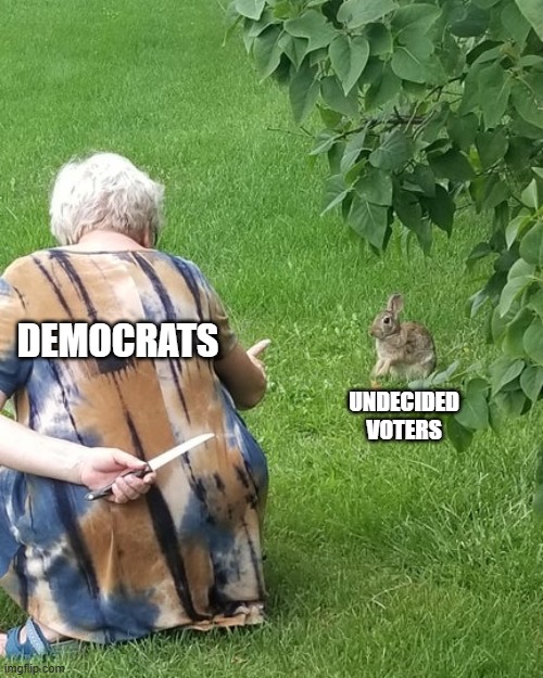 Once again the DNC is making plans. | DEMOCRATS; UNDECIDED VOTERS | image tagged in democrats,liberals,woke,leftists,kamala harris,biases media | made w/ Imgflip meme maker