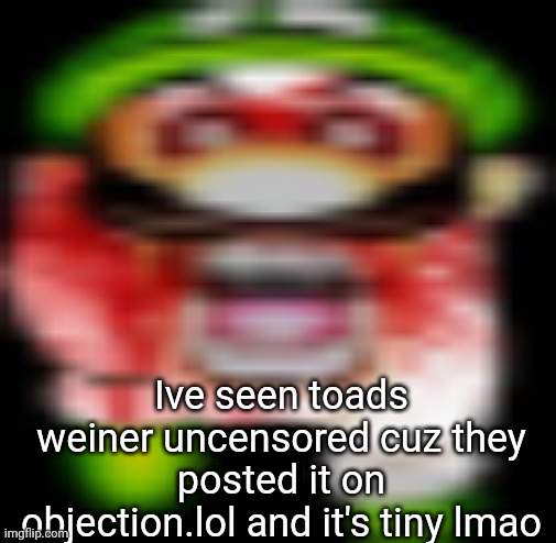 matilgeie | Ive seen toads weiner uncensored cuz they posted it on objection.lol and it's tiny lmao | image tagged in matilgeie | made w/ Imgflip meme maker