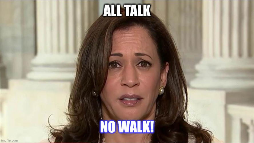 All Talk | ALL TALK; NO WALK! | image tagged in kamala harris | made w/ Imgflip meme maker