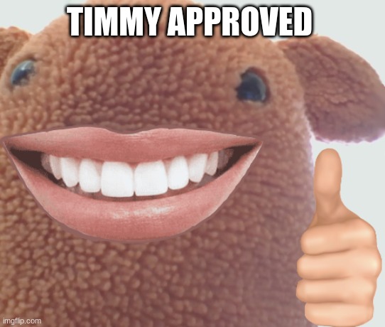 TIMMY APPROVED | made w/ Imgflip meme maker