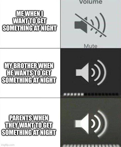 :( | ME WHEN I WANT TO GET SOMETHING AT NIGHT; MY BROTHER WHEN HE WANTS TO GET SOMETHING AT NIGHT; PARENTS WHEN THEY WANT TO GET SOMETHING AT NIGHT | image tagged in louder,memes | made w/ Imgflip meme maker