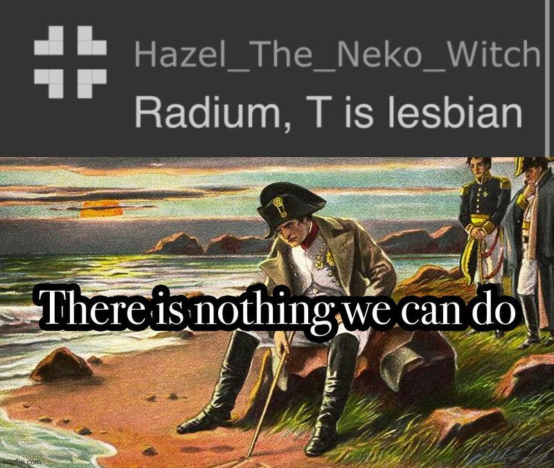 image tagged in there is nothing we can do | made w/ Imgflip meme maker