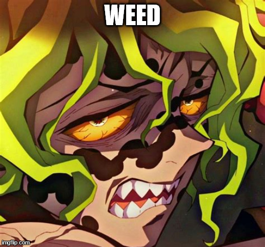 Gyutaro | WEED | image tagged in gyutaro | made w/ Imgflip meme maker