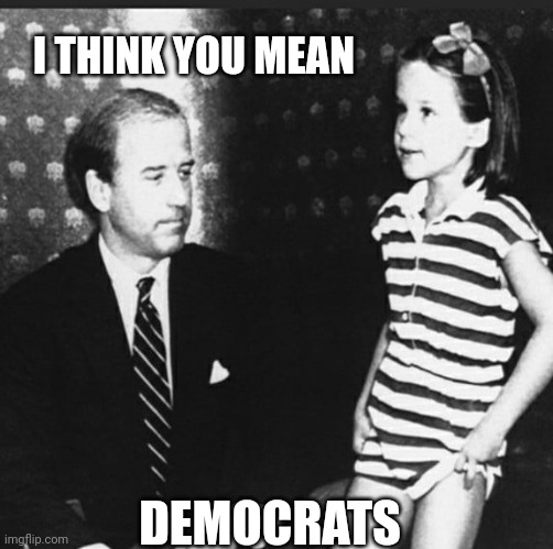 I THINK YOU MEAN DEMOCRATS | made w/ Imgflip meme maker