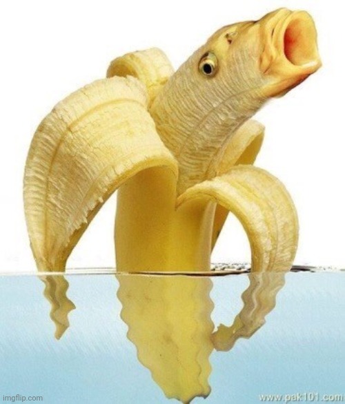 Banana × fish | image tagged in memes,cursed image | made w/ Imgflip meme maker