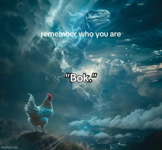 Bok. | made w/ Imgflip meme maker