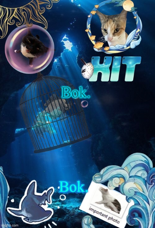 Bok. | Bok. Bok. | image tagged in bok | made w/ Imgflip meme maker