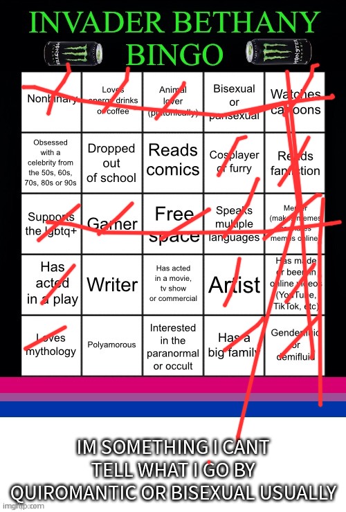 i had better see every one of you check memer | IM SOMETHING I CANT TELL WHAT I GO BY QUIROMANTIC OR BISEXUAL USUALLY | image tagged in invader bethany bingo | made w/ Imgflip meme maker