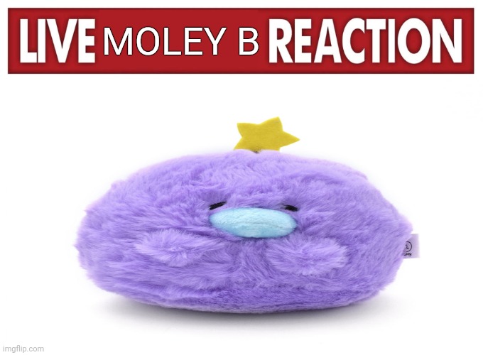 itemlabel moment | MOLEY B | image tagged in live reaction | made w/ Imgflip meme maker