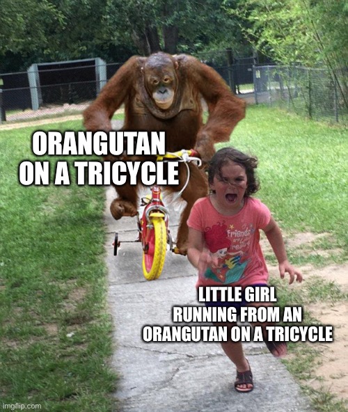 Orangutan chasing girl on a tricycle | ORANGUTAN ON A TRICYCLE; LITTLE GIRL RUNNING FROM AN ORANGUTAN ON A TRICYCLE | image tagged in orangutan chasing girl on a tricycle | made w/ Imgflip meme maker