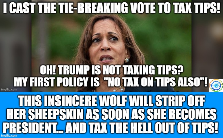 politics | THIS INSINCERE WOLF WILL STRIP OFF HER SHEEPSKIN AS SOON AS SHE BECOMES PRESIDENT... AND TAX THE HELL OUT OF TIPS! | image tagged in political meme | made w/ Imgflip meme maker