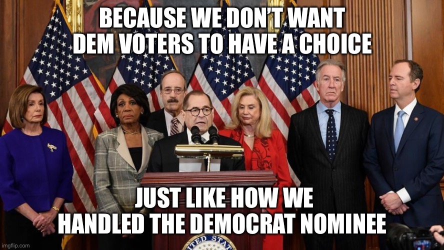 House Democrats | BECAUSE WE DON’T WANT DEM VOTERS TO HAVE A CHOICE JUST LIKE HOW WE HANDLED THE DEMOCRAT NOMINEE | image tagged in house democrats | made w/ Imgflip meme maker