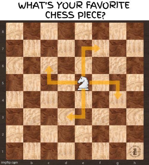 The White Knight | image tagged in chess,racist,hitler,jews,funny memes,genius | made w/ Imgflip meme maker