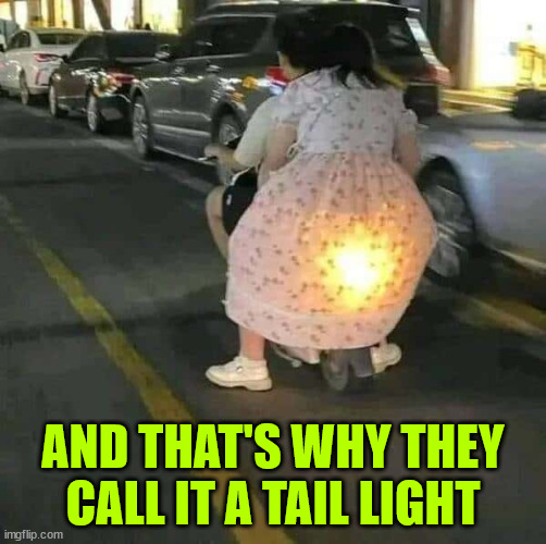 Tail light | AND THAT'S WHY THEY CALL IT A TAIL LIGHT | image tagged in eyeroll,tail,light | made w/ Imgflip meme maker