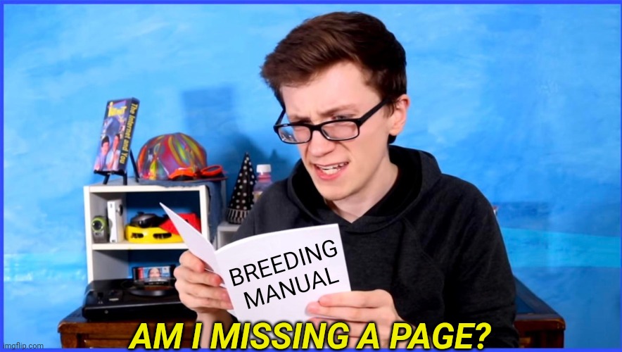 Did I miss a page guy (empty template) | BREEDING MANUAL AM I MISSING A PAGE? | image tagged in did i miss a page guy empty template | made w/ Imgflip meme maker