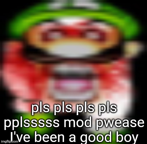 matilgeie | pls pls pls pls pplsssss mod pwease I've been a good boy | image tagged in matilgeie | made w/ Imgflip meme maker