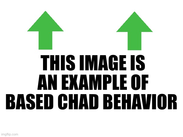 THIS IMAGE IS AN EXAMPLE OF BASED CHAD BEHAVIOR | made w/ Imgflip meme maker