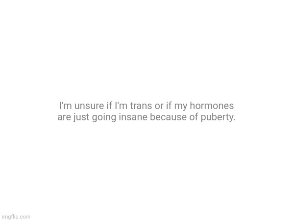 I'm unsure if I'm trans or if my hormones are just going insane because of puberty. | made w/ Imgflip meme maker