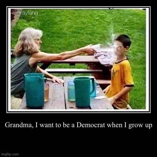 Democrat | Grandma, I want to be a Democrat when I grow up | image tagged in funny,demotivationals,democrats,republican | made w/ Imgflip demotivational maker