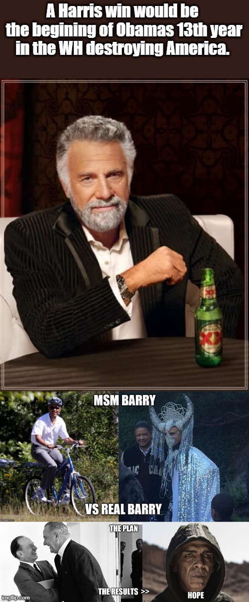 If you can't see it by now, YOUR A FOOL. | A Harris win would be  the begining of Obamas 13th year in the WH destroying America. | image tagged in memes,the most interesting man in the world | made w/ Imgflip meme maker