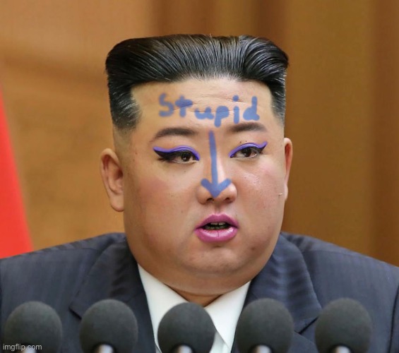 Welp, I’m banned from North Korea forever, and probably being hunted down by them now! | image tagged in north korea,memes | made w/ Imgflip meme maker