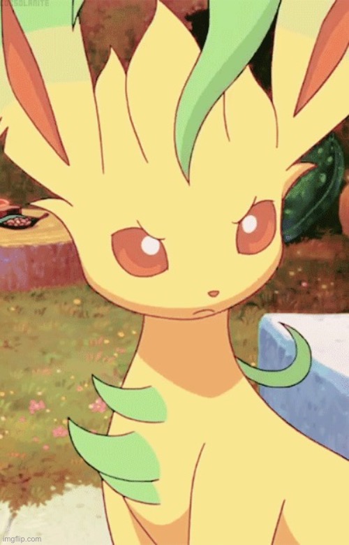 Angry Leafeon | image tagged in angry leafeon | made w/ Imgflip meme maker