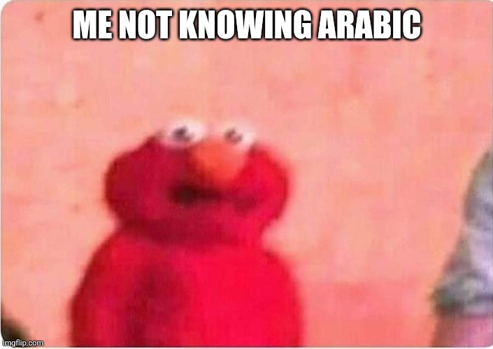 Sickened elmo | ME NOT KNOWING ARABIC | image tagged in sickened elmo | made w/ Imgflip meme maker