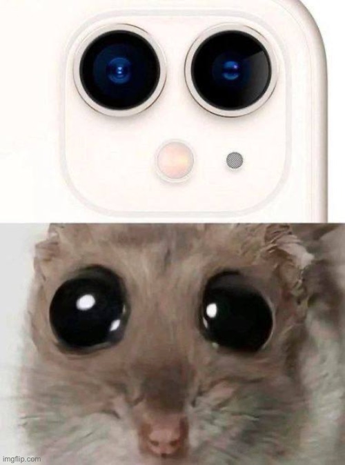 Apple please stop killing hamsters for cameras | made w/ Imgflip meme maker