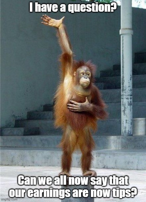 Monkey Raising Hand | I have a question? Can we all now say that our earnings are now tips? | image tagged in monkey raising hand | made w/ Imgflip meme maker