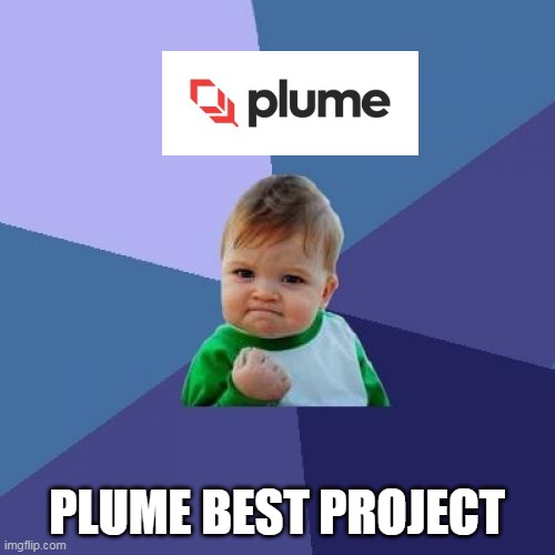 Success Kid | PLUME BEST PROJECT | image tagged in memes,success kid | made w/ Imgflip meme maker