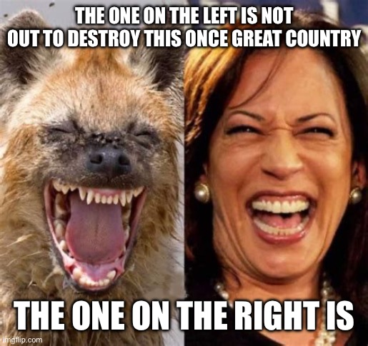 Kamala Kackle | THE ONE ON THE LEFT IS NOT OUT TO DESTROY THIS ONCE GREAT COUNTRY; THE ONE ON THE RIGHT IS | image tagged in kamala kackle | made w/ Imgflip meme maker