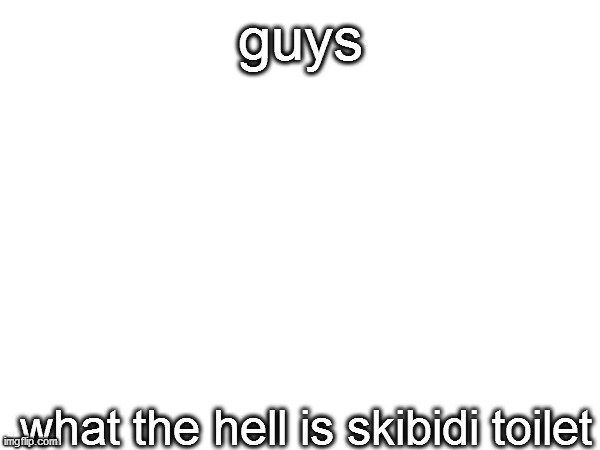 i mean seriously what is skibidi toilet | guys; what the hell is skibidi toilet | image tagged in idk | made w/ Imgflip meme maker