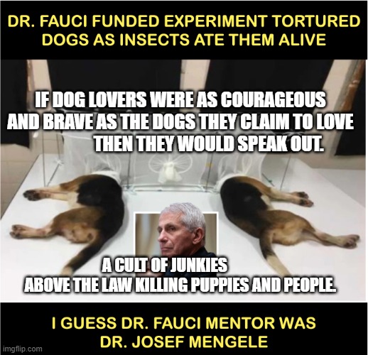 Fauci torturing dogs | IF DOG LOVERS WERE AS COURAGEOUS AND BRAVE AS THE DOGS THEY CLAIM TO LOVE                  THEN THEY WOULD SPEAK OUT. A CULT OF JUNKIES             ABOVE THE LAW KILLING PUPPIES AND PEOPLE. | image tagged in fauci torturing dogs | made w/ Imgflip meme maker