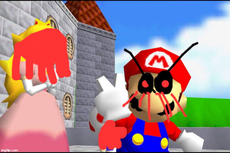 Super Mario 64 | image tagged in super mario 64 | made w/ Imgflip meme maker