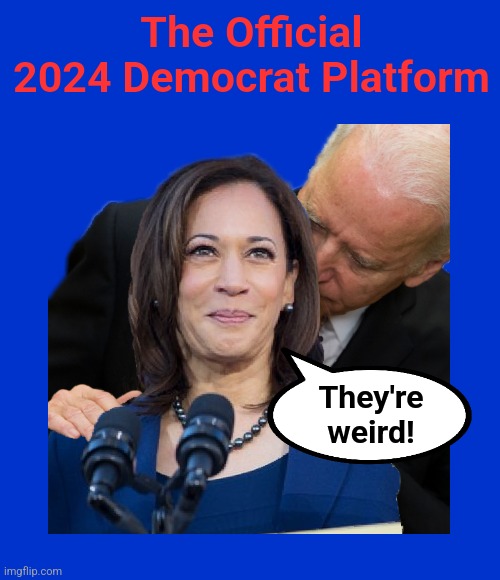 The democrat platform | The Official 2024 Democrat Platform; They're
weird! | image tagged in memes,democrat platform,kamala harris,weird,election 2024 | made w/ Imgflip meme maker