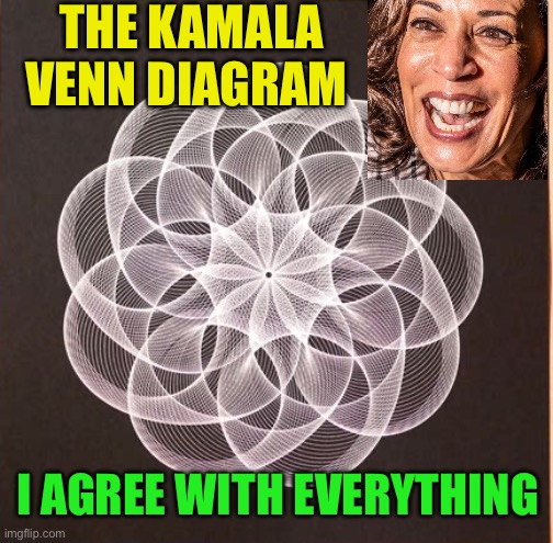 Kamala’s Venn diagram: her position is the same as yours | THE KAMALA VENN DIAGRAM; I AGREE WITH EVERYTHING | image tagged in gifs,democrats,kamala harris,venn diagram,flip flops,radical | made w/ Imgflip meme maker