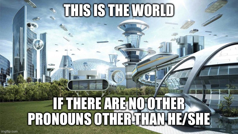 The future world if | THIS IS THE WORLD; IF THERE ARE NO OTHER PRONOUNS OTHER THAN HE/SHE | image tagged in the future world if | made w/ Imgflip meme maker