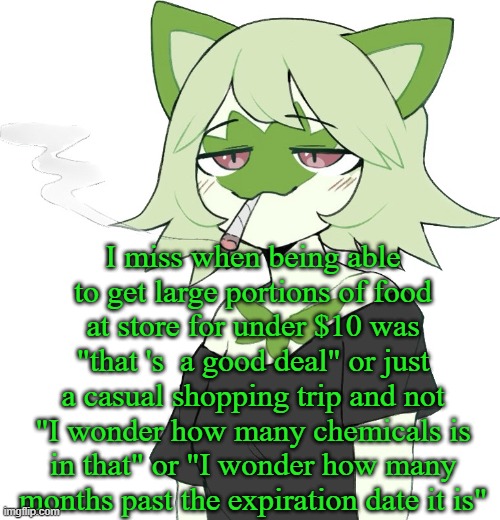 weed cat | I miss when being able to get large portions of food at store for under $10 was "that 's  a good deal" or just a casual shopping trip and not "I wonder how many chemicals is in that" or "I wonder how many months past the expiration date it is" | image tagged in weed cat | made w/ Imgflip meme maker