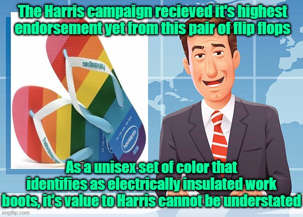 Flip Flops for Harris 2024 | The Harris campaign recieved it's highest endorsement yet from this pair of flip flops; As a unisex set of color that identifies as electrically insulated work boots, it's value to Harris cannot be understated | image tagged in trump,maga,kamala harris,election 2024,endorsements | made w/ Imgflip meme maker