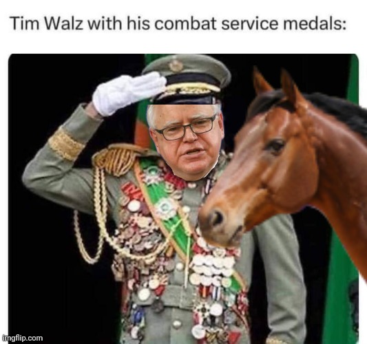 Tim Walz with his medals | image tagged in horse,stolen | made w/ Imgflip meme maker