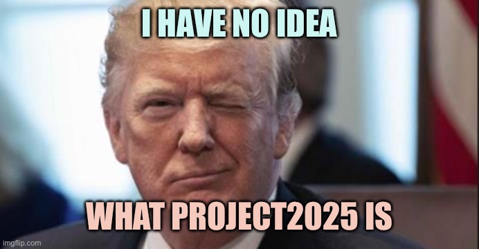 Hopefully we don’t find out | I HAVE NO IDEA; WHAT PROJECT2025 IS | image tagged in trump wink,memes,no term limits | made w/ Imgflip meme maker